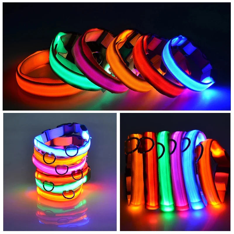 Collar Led para perros con carga USB