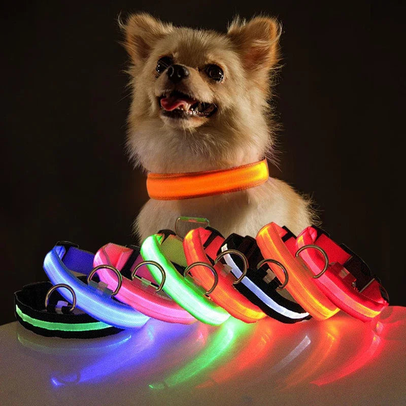 Collar Led para perros con carga USB