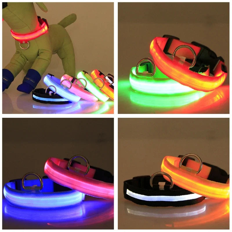 Collar Led para perros con carga USB