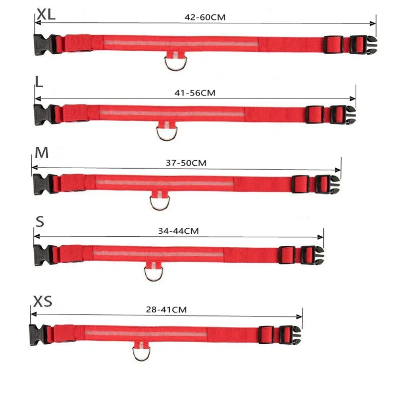 Collar Led para perros con carga USB