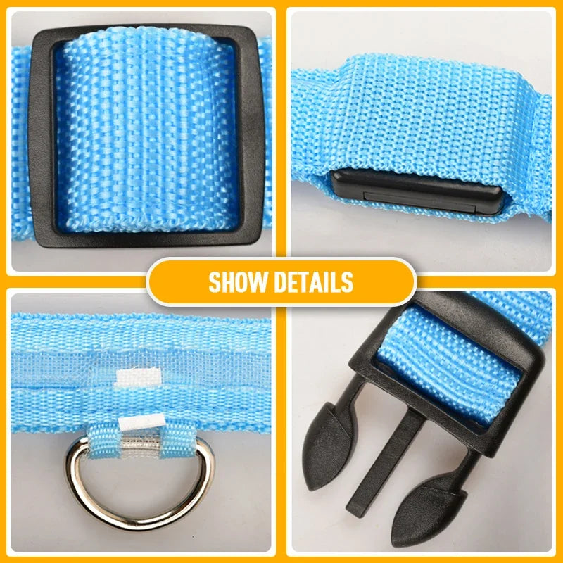Collar Led para perros con carga USB