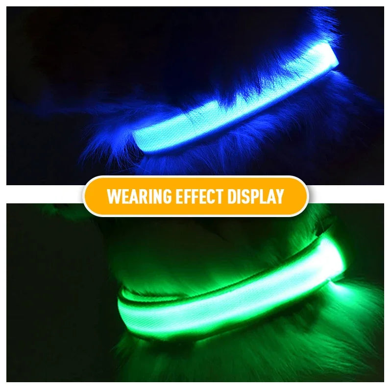 Collar Led para perros con carga USB