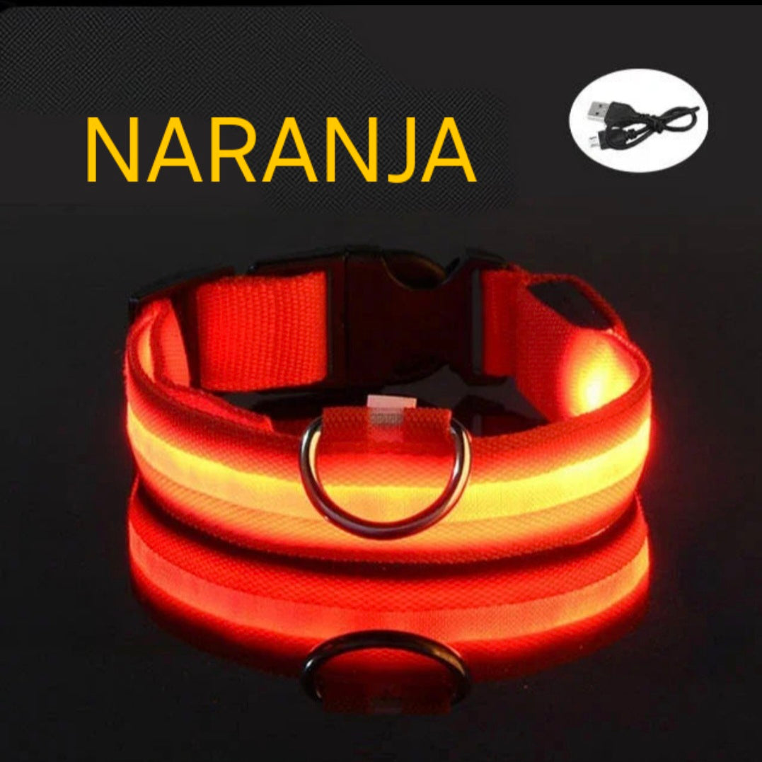 Collar Led para perros con carga USB