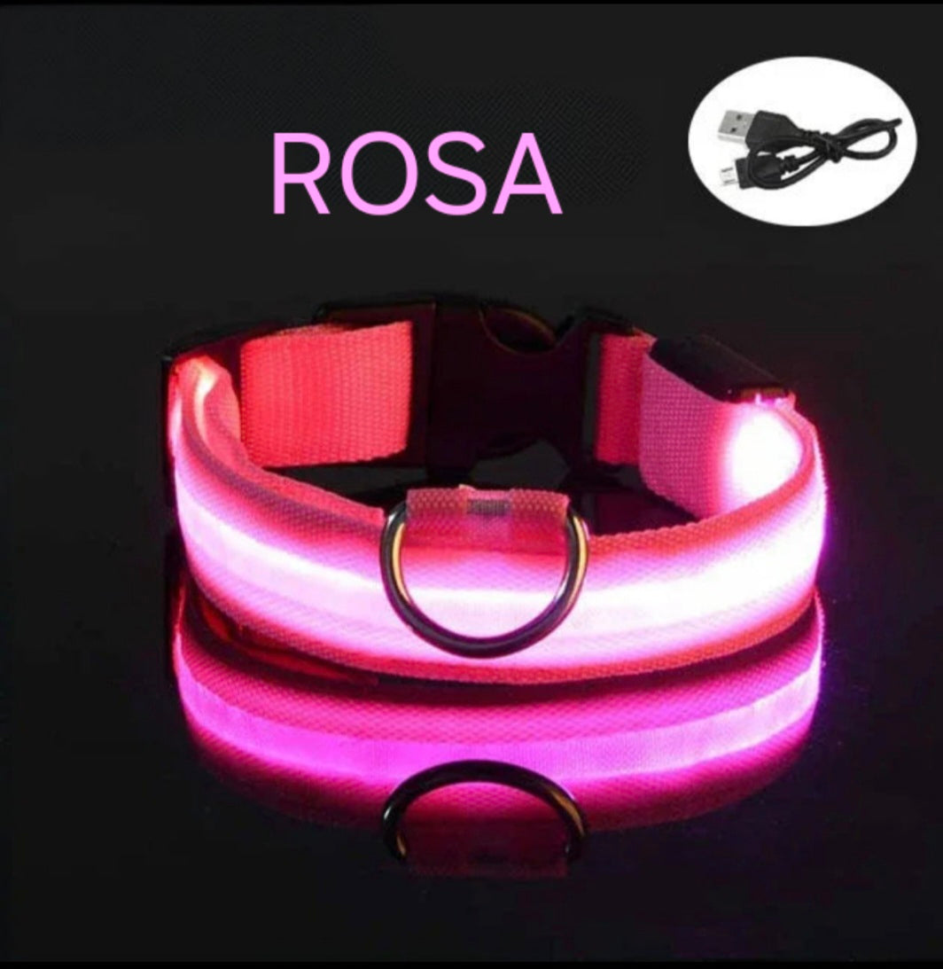 Collar Led para perros con carga USB