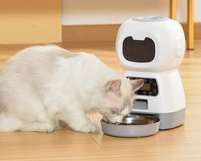 Gadgets y Electrónica