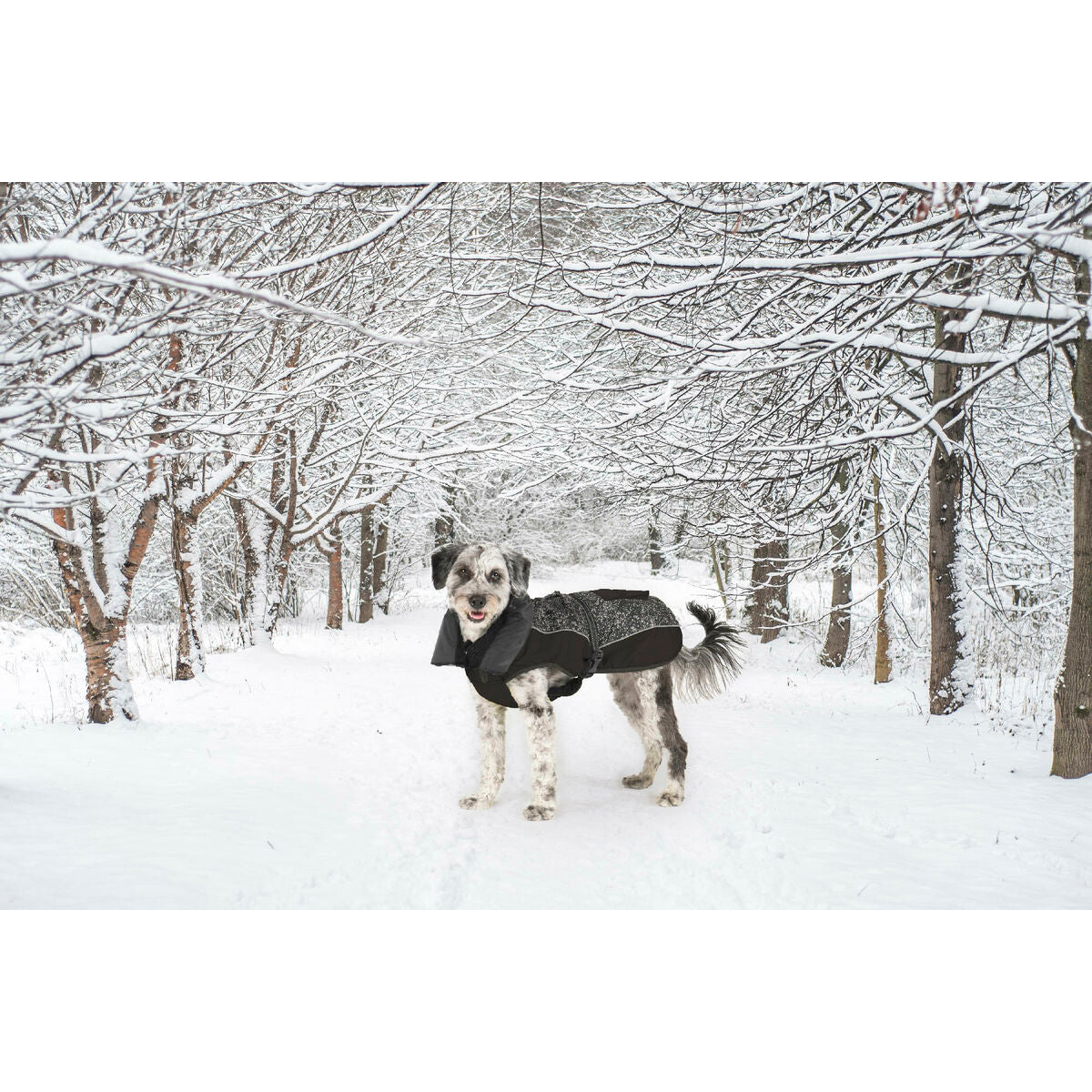 V5HED40D26DFC5BC0B9156C1A91B1EFBF27R5332490P8