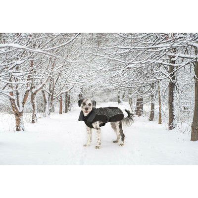 V5H97186A7ED290F109EACCBF9328BE8CAAR5332458P8