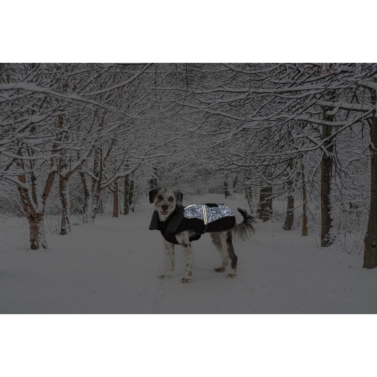 V5H0D2A2F62D9A49D5AD82974EF743F6DB3R5332494P2