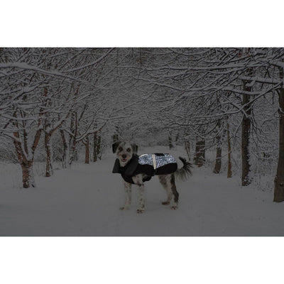 V5H466D8822CFE36BDA144DFD52B82CFE15R5332474P2