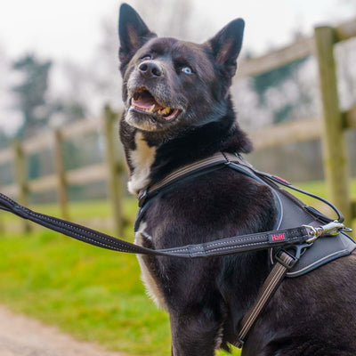 V4H24F9BD465C3B5696D58E920F0E73AB57R7245511P3