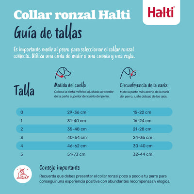 V3H39E01B3AD3F280D84CB6A105021A01E4R7523869P7