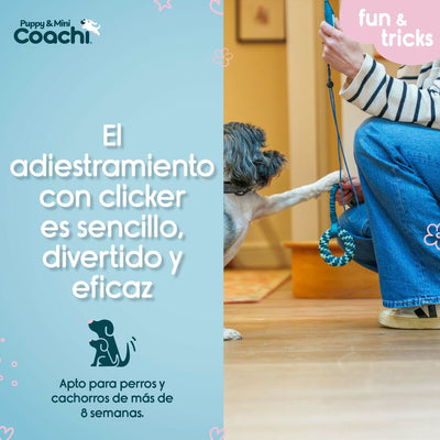 V4H68D1F4BA325CE9DD0FDBAECEC1935D1ER5717576P4