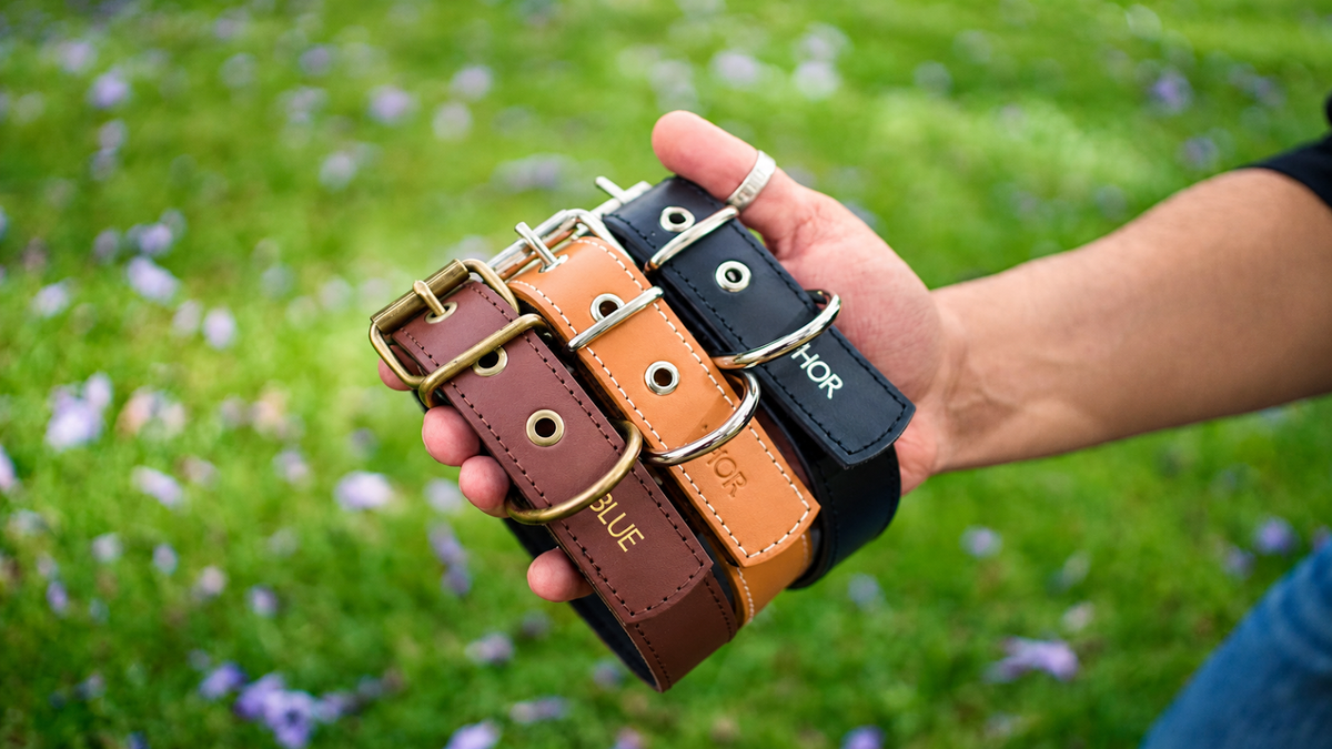 Collar de cuero Relax Premium
