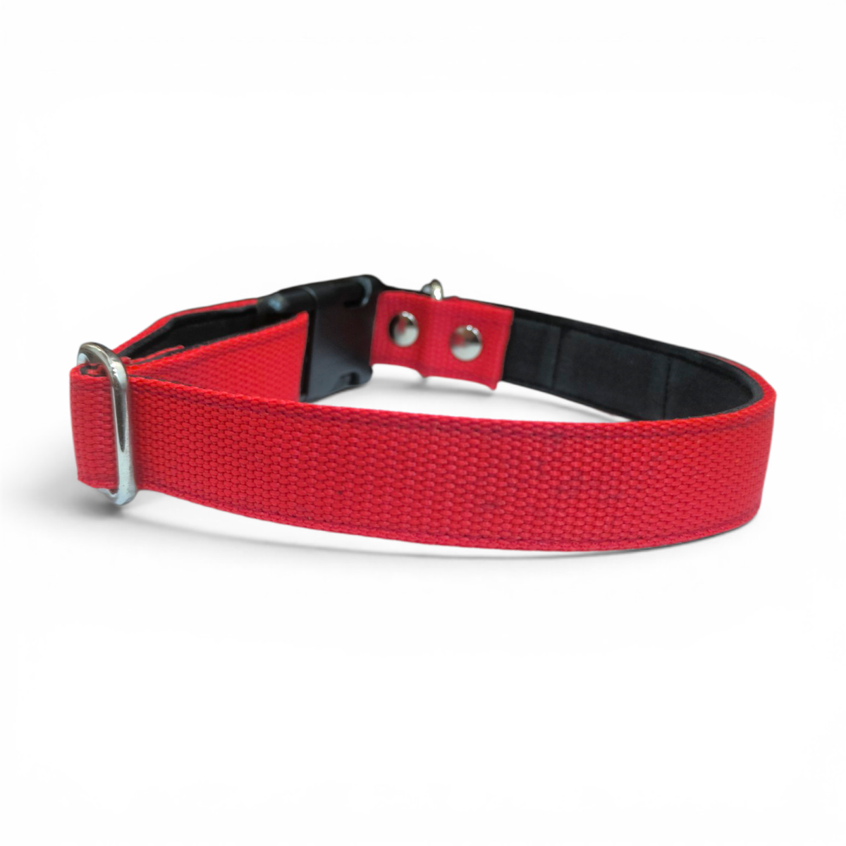 Collar de nailon clásico