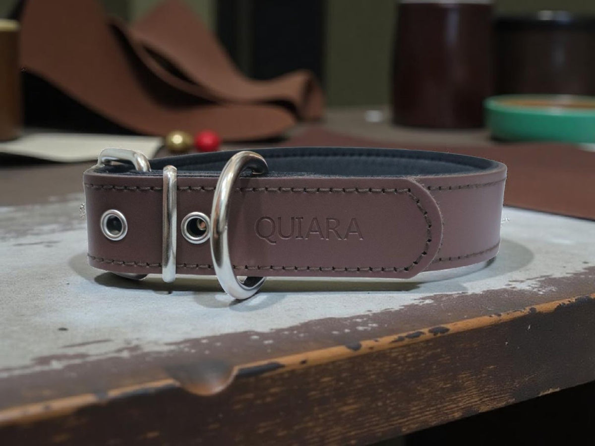 Collar de cuero personalizado con nombre