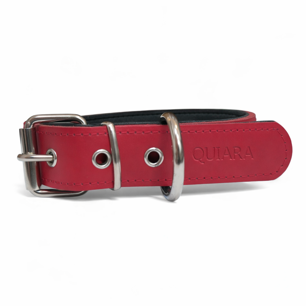 Collar de cuero personalizado con nombre