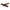 Barritas Tender Meat Sticks De Ternera 500Gr.