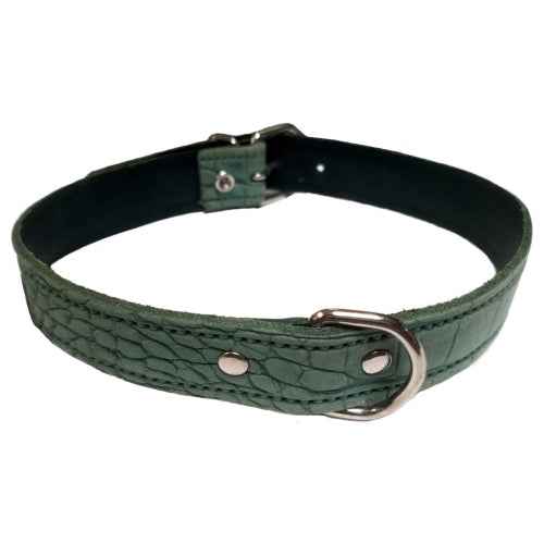 COLLAR PIEL LABRADO 15X350 VERDE