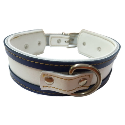COLLAR GALGO BLANCO BORDE AZUL 50X4CM