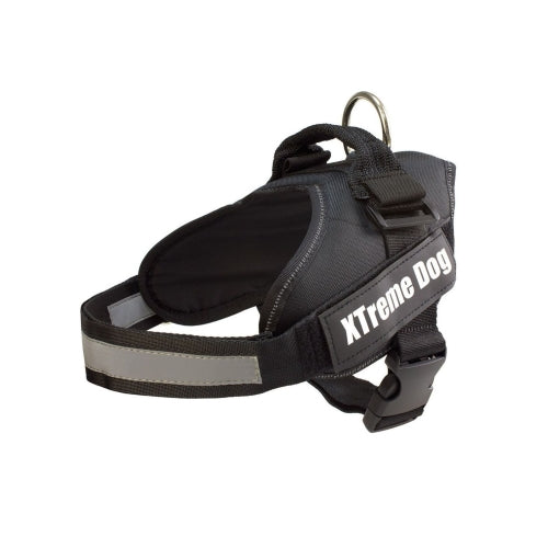 ARNES XTREME DOG AZUL XL (80-110cm)