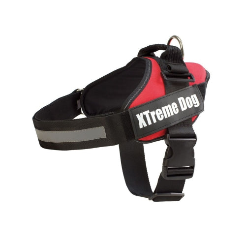 ARNES XTREME DOG AZUL XL (80-110cm)