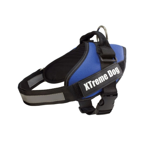 ARNES XTREME DOG AZUL XL (80-110cm)