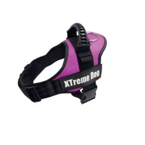 ARNES XTREME DOG AZUL XL (80-110cm)