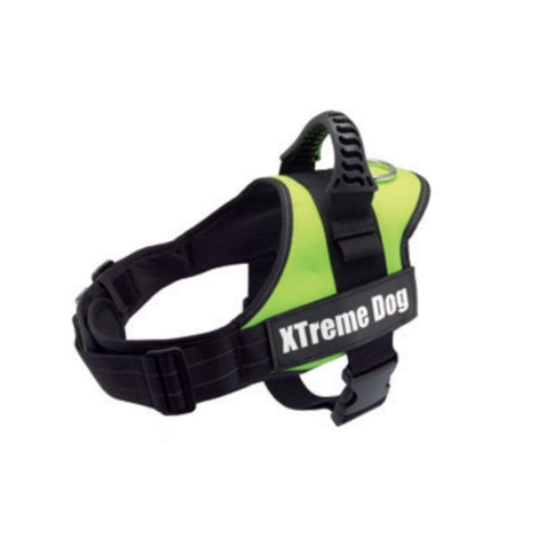 ARNES XTREME DOG AZUL XL (80-110cm)