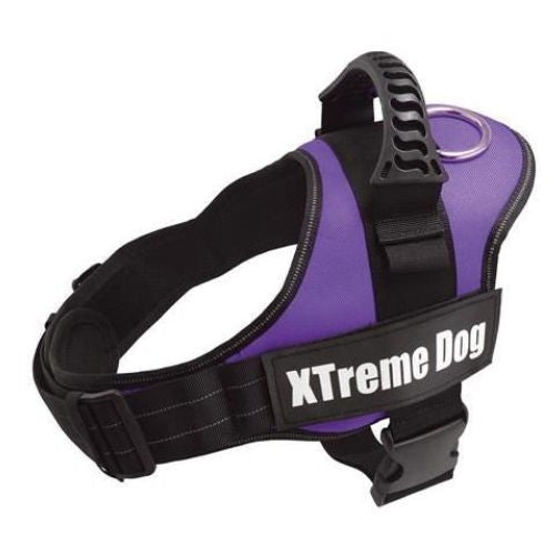 ARNES XTREME DOG AZUL XL (80-110cm)