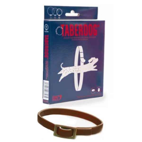TABERDOG COLLAR DIMPILATO 60cm. 