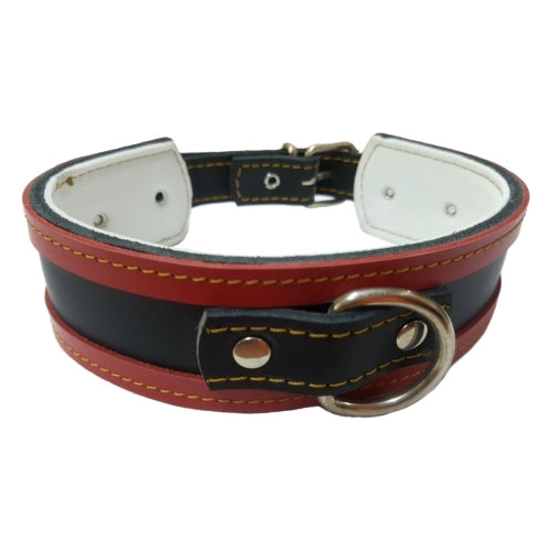 COLLAR GALGO MARRON BORDE NATURAL 50X4CM
