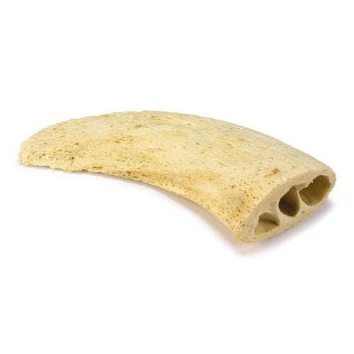 Núcleo de cuerno (Bolsa 1 unidad)