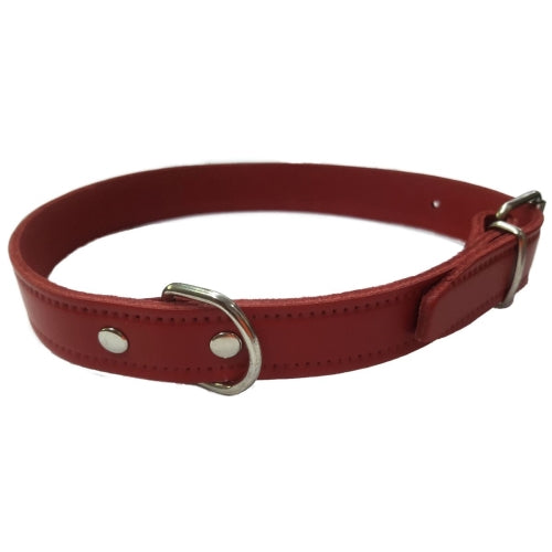 COLLAR CUERO LISO ROJO 40X1.5CM VMD