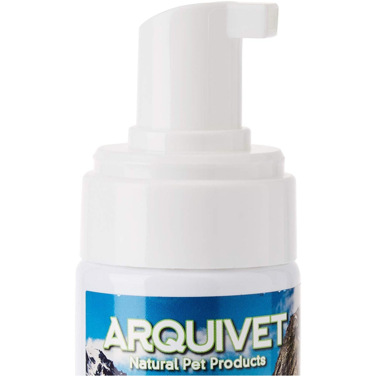 CHAMPU ESPUMA SECA 200ml.Arquifresh 