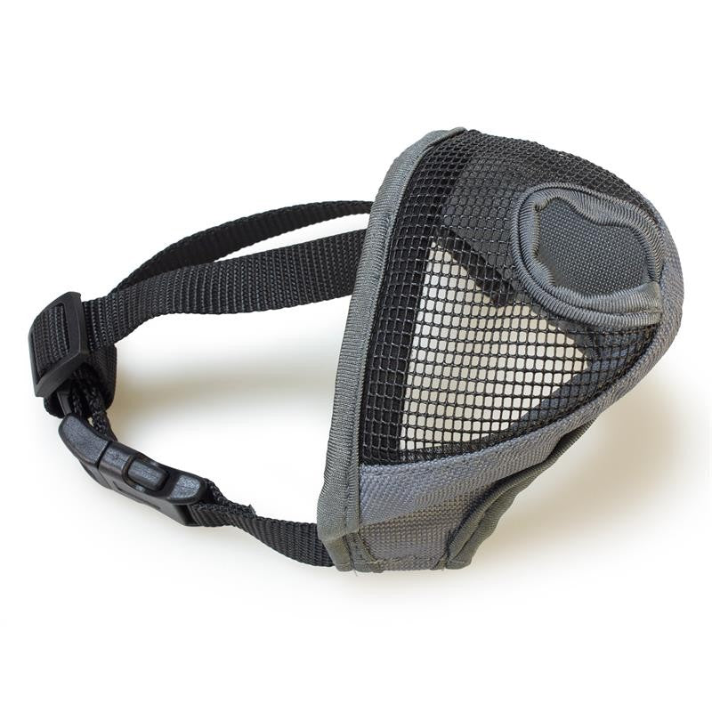 Bozal Perros Hocico Corto S/31Cm