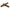 DENTAL STICKS Bolsa 7 Uds./170gr. Arquivet