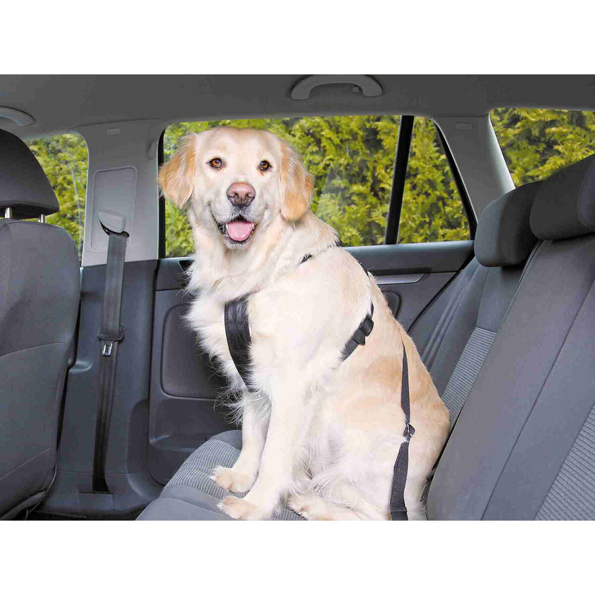 V6HB9D099D7806A006D432D60CEA2990BEBR7448123P3