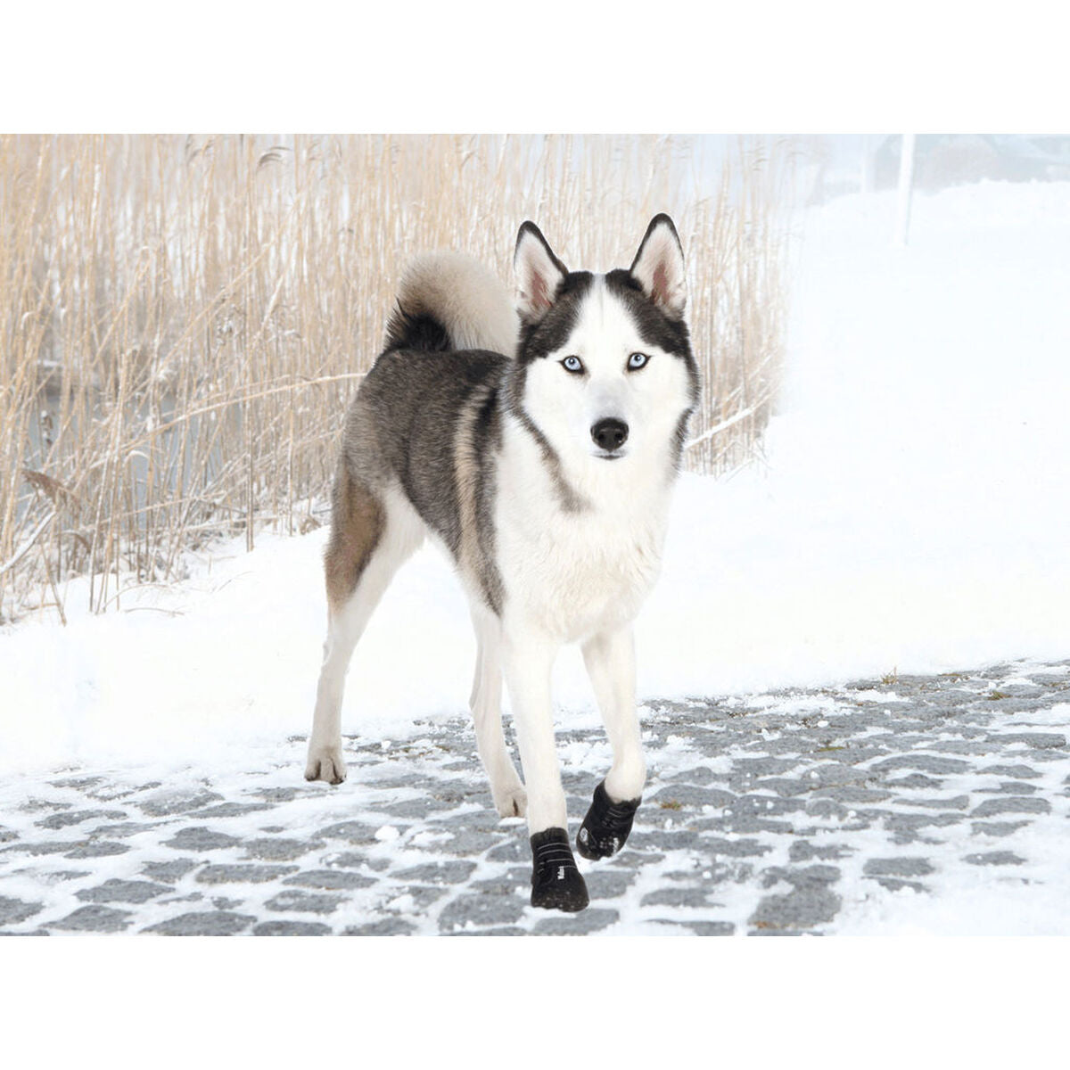 V4H0F025942EA9D19C1A67D7419D3CFA2F4R7439876P3