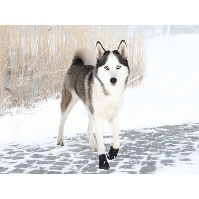 V4H0F025942EA9D19C1A67D7419D3CFA2F4R7439876P3