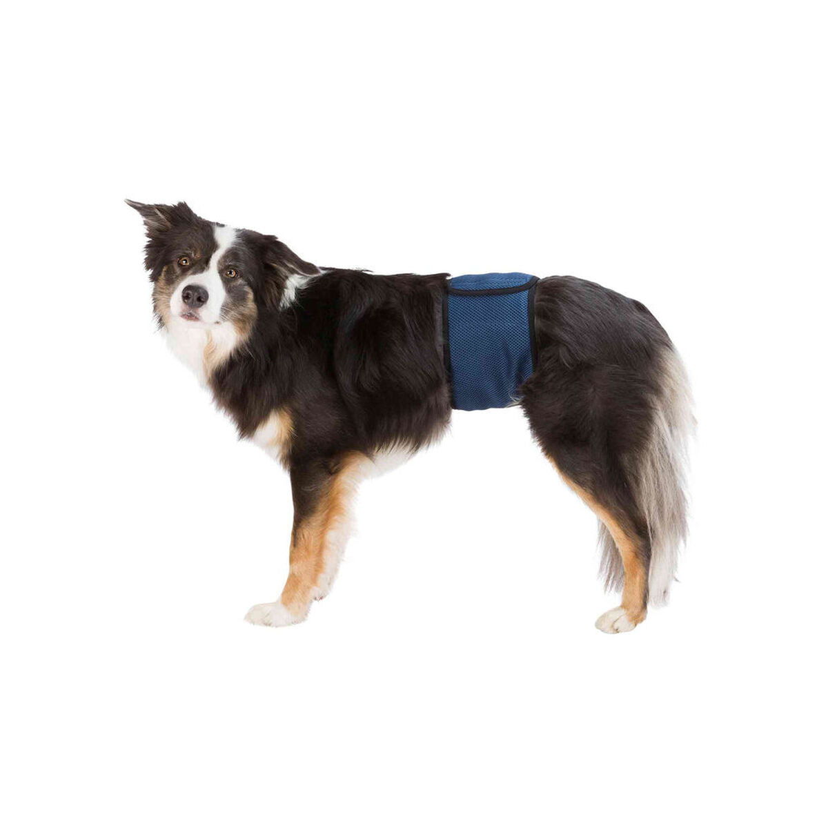 V6H6FC3A2536E5BA23729AAB7F42FCA9D59R7444048P1