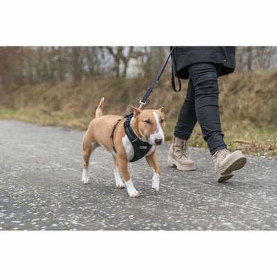 V4H013C6F497FE832827E378D8C9BC8F9BAR7450172P8