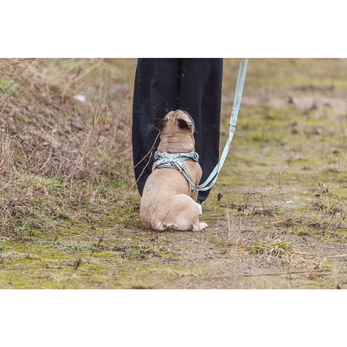 V4H749156B4115079CFF927584FF646033BR7463906P5