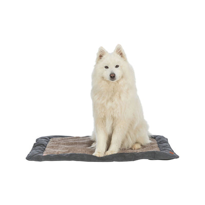 V3H5E04EC769C97A306FDFEFC25AD211E22R7519015P3