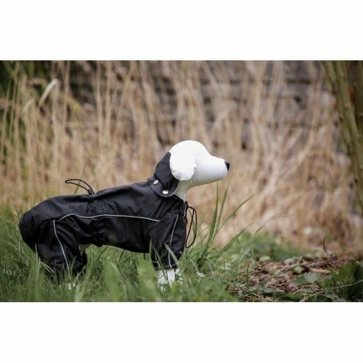 V8H537B4F04AA696FF41F1394E3897F1CCAR6605041P3