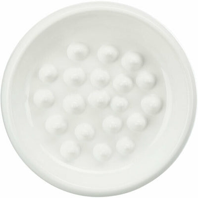 V8HA3FEA29B1209E5DC83BDBE10CEBD4B20R7453922P4