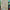 SLIP HIGIENICO PERRAS T-3 40-49cm.