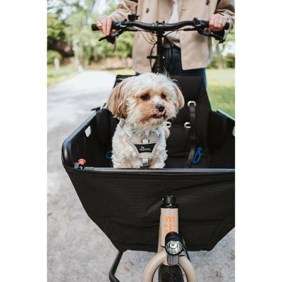 V4H11DF12927148036F13C16DF2128492AAR5575674P5