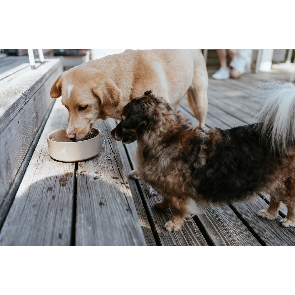 V4H6B9CB4D6A9CDBFB11F684FD5922027B4R5587764P3