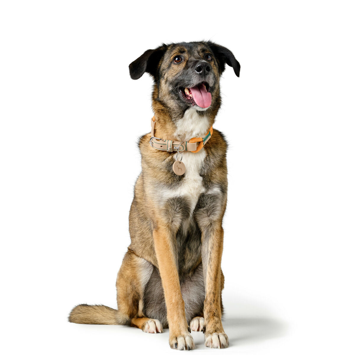 V4H12EECAA6F4437622031B096EC0ADEA5DR5575484P3