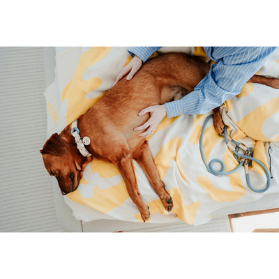 V4HA36CE0A4C56D1552476776BA20D4B77CR5575454P6